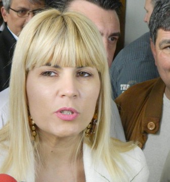 Udrea, postare pe Facebook despre Hellvig